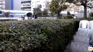 捷安特电动车镇江艳照门10